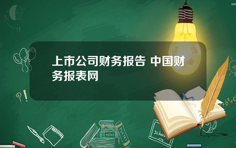 上市公司财务报告 中国财务报表网